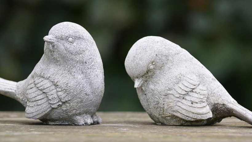 Vögel Vögel