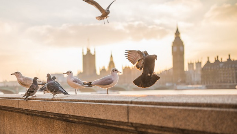 Provisionsverbot Großbritannien Provisionsverbot Großbritannien