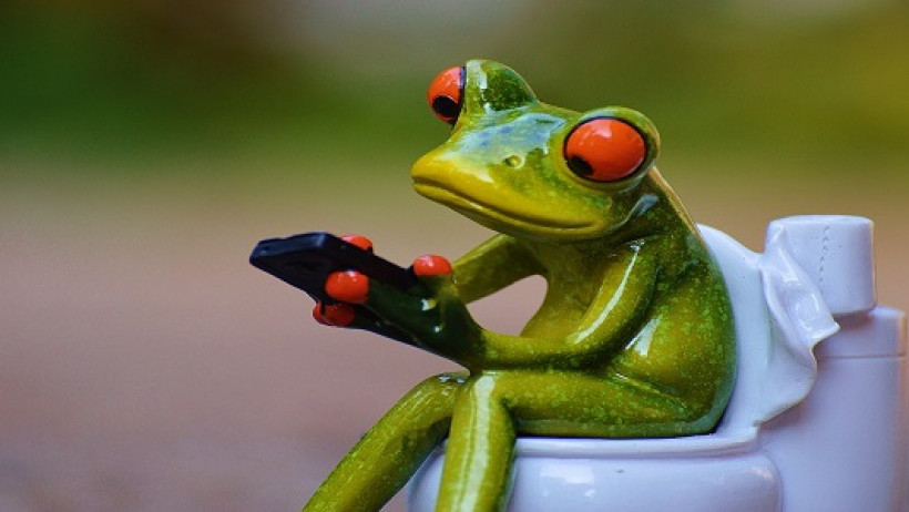 Frosch, Toilette Frosch, Toilette
