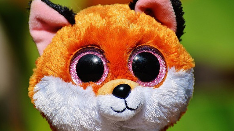 Financefox wird Wefox – Blau direkt investiert 5 Millionen Financefox wird Wefox – Blau direkt investiert 5 Millionen