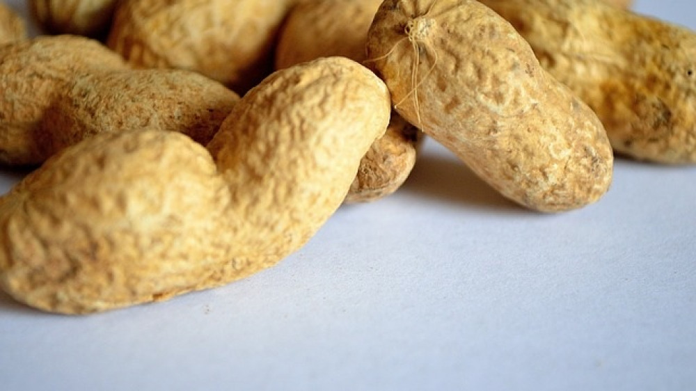 Erdnüsse zählen zu den problematischsten Allergieauslösern - aber nicht jede Kasse oder Versicherung übernimmt die Kosten für Spezialnahrung