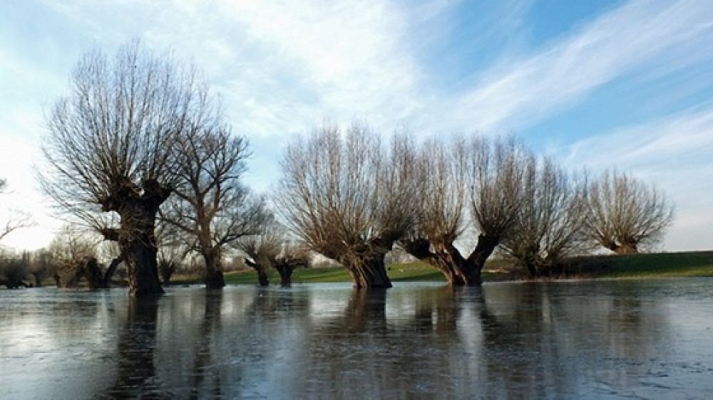 Ein Hochwasser zerstörte 2013 weite Teil Ost- und Süddeutschlands. Nun will die Ergo auch einen Hochwasserschutz für Risikozonen anbieten.
