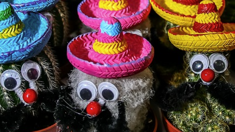 Fasching, Fasnacht und fatale Fehler Fasching, Fasnacht und fatale Fehler