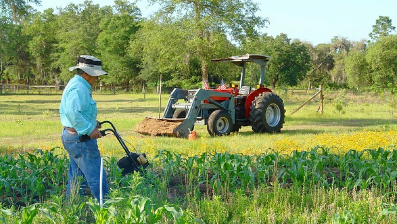Planen, Baggern, Pflanzen: Wie man Garten- und Landschaftsbauer optimal versichert Planen, Baggern, Pflanzen: Wie man Garten- und Landschaftsbauer optimal versichert