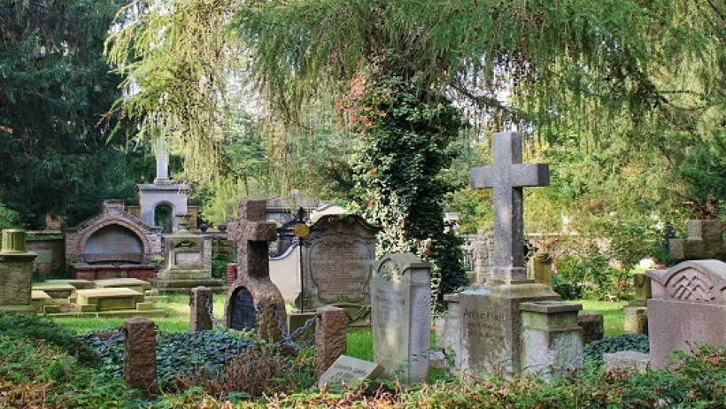 Friedhof Friedhof