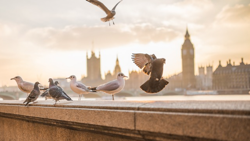Versicherungssterben in Großbritannien Versicherungssterben in Großbritannien