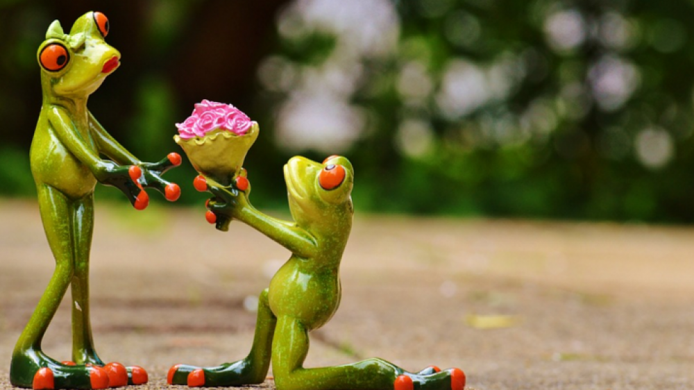 Vielen Dank für die Blumen? Versicherungen zum Nulltarif gibt es nicht, warnt Ökotest.