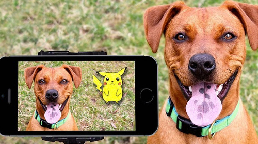 Jede – in Worten jede – popelige Unfallpolice versichert auch gegen plötzlich, von außen, unfreiwillig unmittelbar auf den Körper wirkende Schädigungen oder gar Tod infolge Pokémon-Ablenkung.