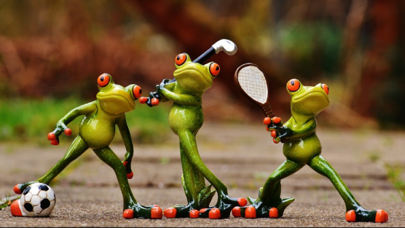 Betriebliches Gesundheitsmanagement Sport Betriebliches Gesundheitsmanagement Sport