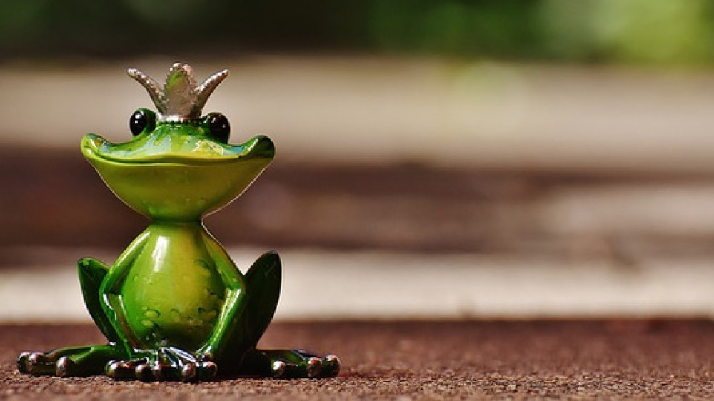 Der staatliche Zuschuss pro Riester-Vertrag solle von aktuell 154 Euro auf 200 Euro pro Jahr erhöht werden, fordert BDA-Chef Steffen Kampeter.