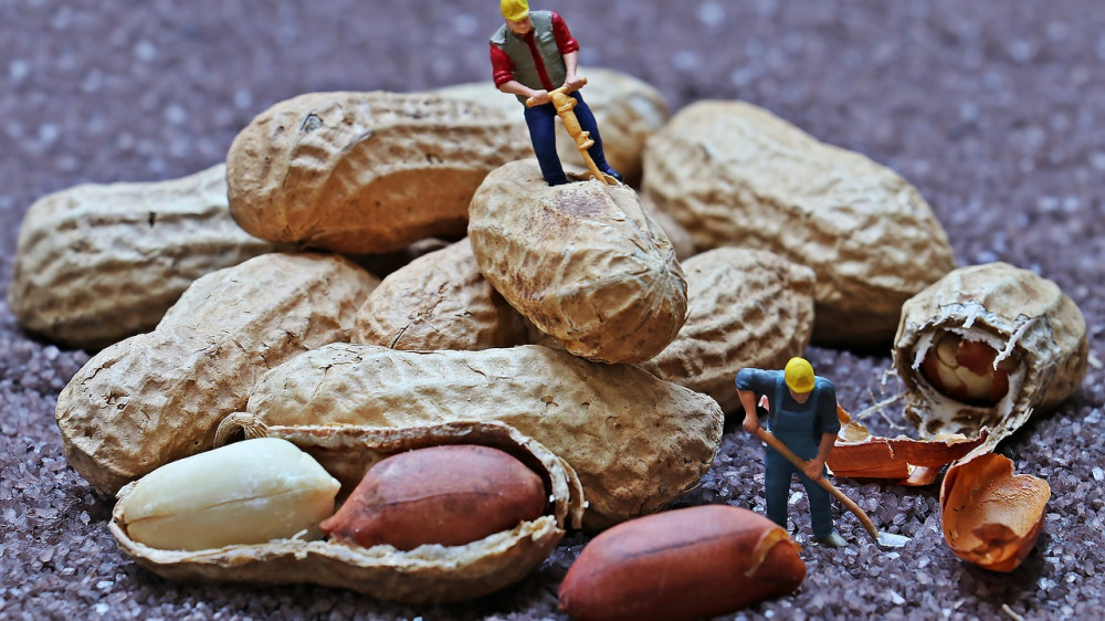 50 SPD-Abgeordnete fordern eine Betriebsrenten-Pflicht nach dem Nahles-Modell.