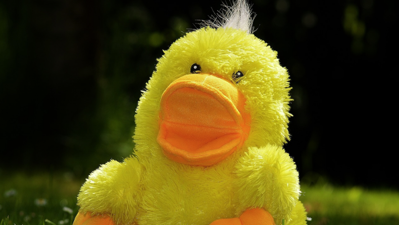 Betriebsrente lame Duck Betriebsrente lame Duck