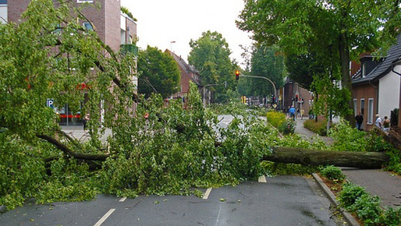 Versicherung - Unwetter Paul & Rasmund verursachen Schäden in Höhe von 600 Millionen Euro Versicherung - Unwetter Paul & Rasmund verursachen Schäden in Höhe von 600 Millionen Euro