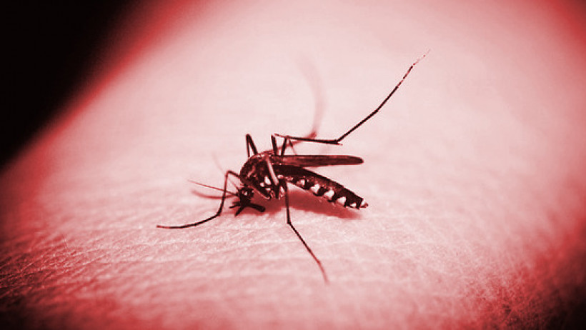 Munich Re sichert Epidemie-Risiken ab Munich Re sichert Epidemie-Risiken ab