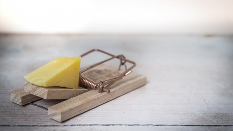 Schülerversicherung zum Versicherungskäse gekürt Schülerversicherung zum Versicherungskäse gekürt