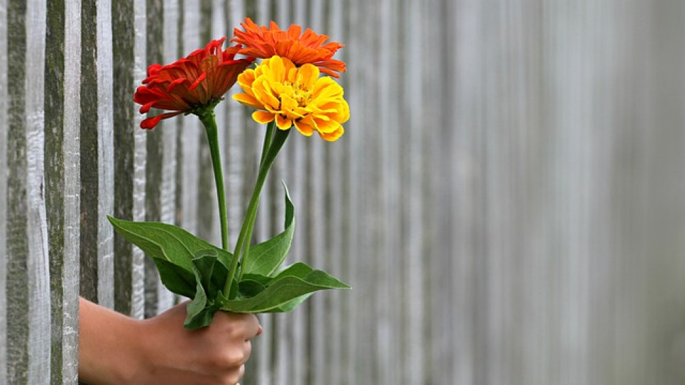 Keinen Dank für die Blumen? Der Gesetzgeber setzt Vermittlern enge Grenzen, was sie an den Kunden ausschütten dürfen und was nicht.