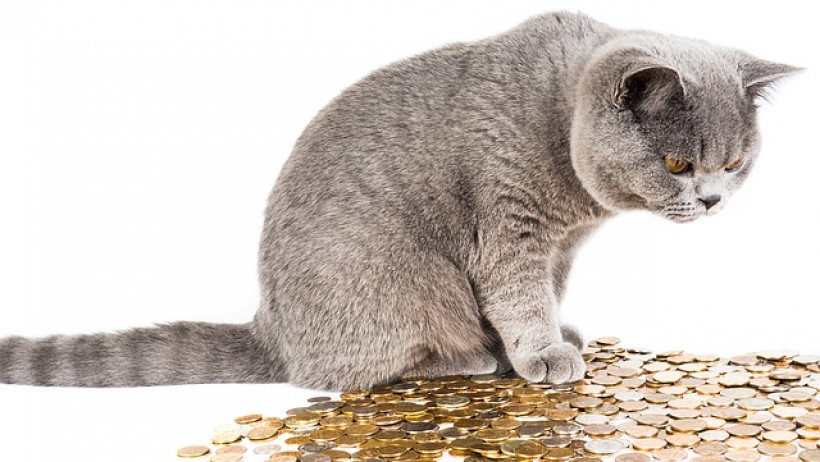 Deutsche Versicherer zahlen 17 Milliarden Euro Honorar Deutsche Versicherer zahlen 17 Milliarden Euro Honorar