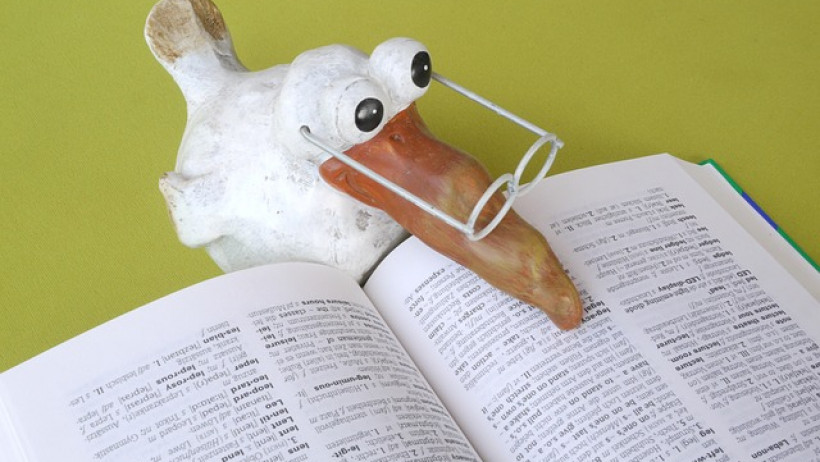 Weiterbildung Versicherung Weiterbildung Versicherung