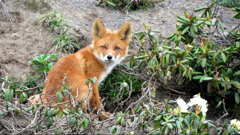 Wefox sammelt 125 Millionen US-Dollar ein Wefox sammelt 125 Millionen US-Dollar ein