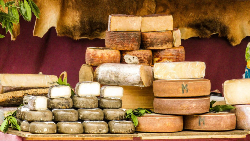 BdV: Schülerversicherung bleibt Versicherungskäse BdV: Schülerversicherung bleibt Versicherungskäse