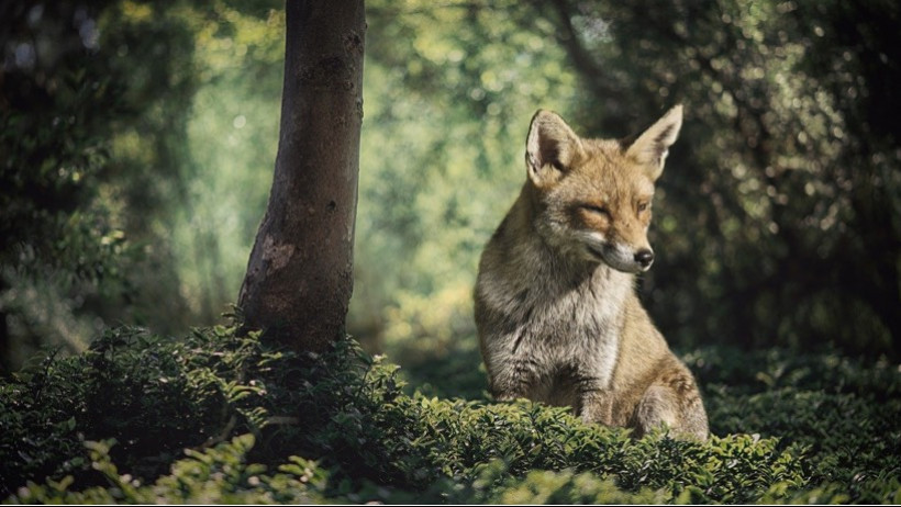 Samsung steigt bei Wefox ein Samsung steigt bei Wefox ein