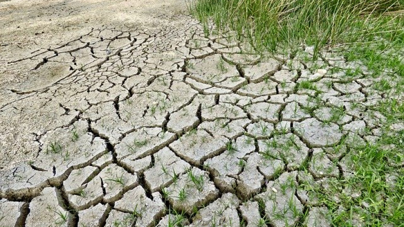 Schutz gegen Dürre – Versicherungssteuer für Landwirte soll gesenkt werden Schutz gegen Dürre – Versicherungssteuer für Landwirte soll gesenkt werden