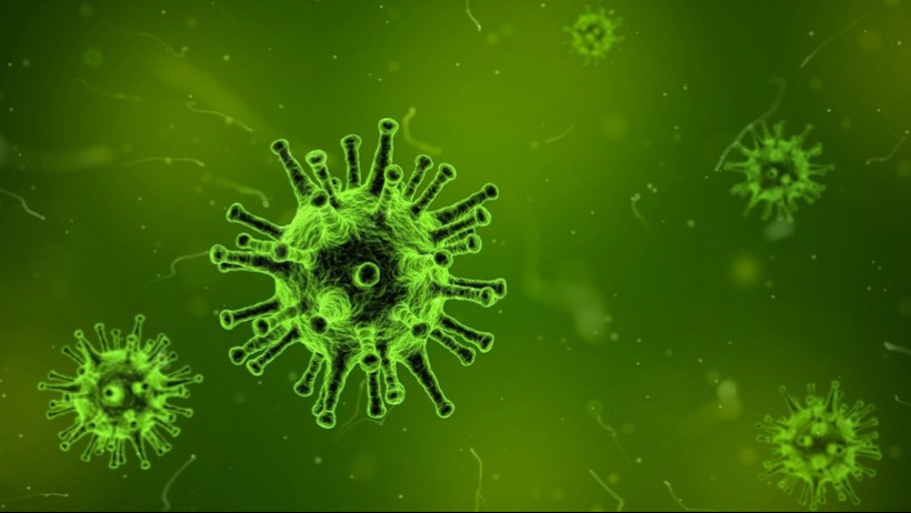 Coronavirus: Das sollten Unternehmen und nach China entsandte Mitarbeiter wissen Coronavirus: Das sollten Unternehmen und nach China entsandte Mitarbeiter wissen