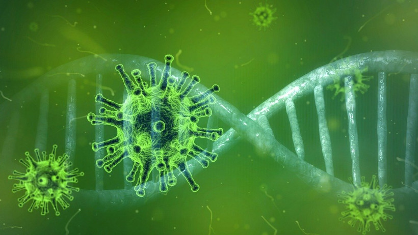 Coronavirus Coronavirus