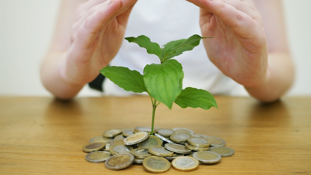 Wächst nicht ausreichend nach: Viele Pensionskassen sind nicht gut mit Eigenmitteln auf Krisen vorbereitet (Symbolbild).