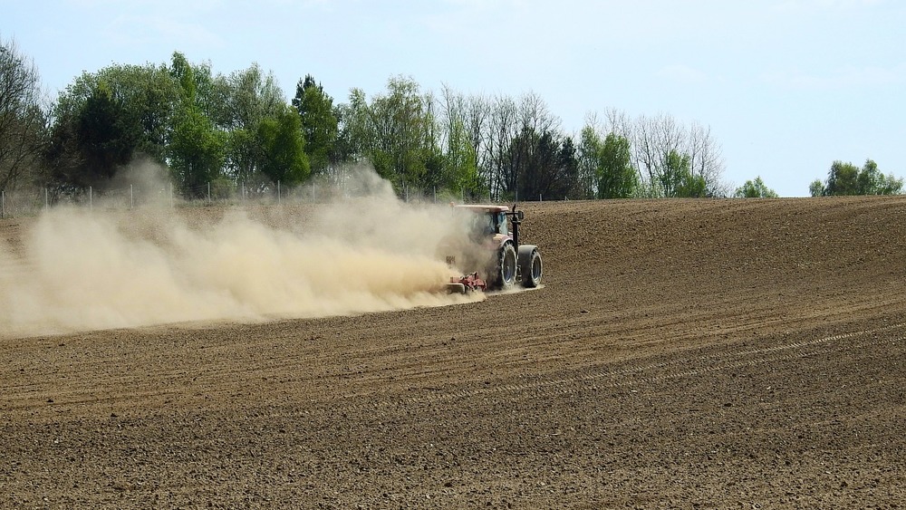 Dürre und Starkregen machen der Landwirtschaft immer mehr zu schaffen (Symbolbild).