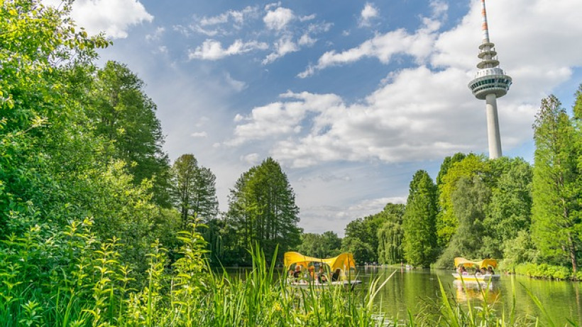 Viertgrößter prozentualer Schwund des Bestands: Mannheimer