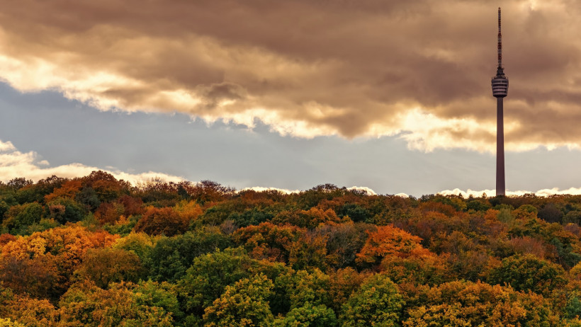Direkte Leben: 550,69 Prozent