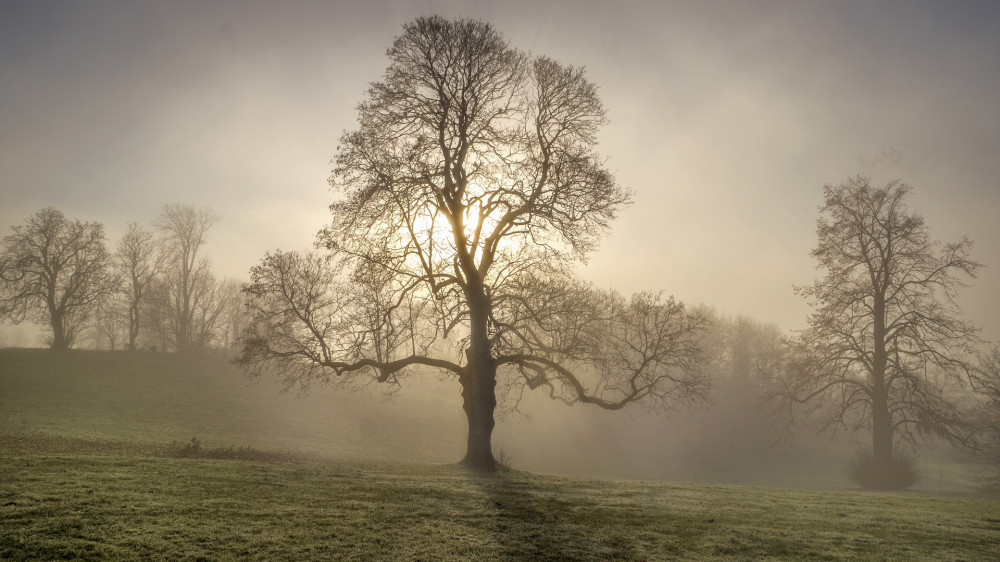 Versicherungsbote zeigt florierende Geschäftszweige der Kompositsparte, aber auch "Krisenzweige". (Symbolbild)