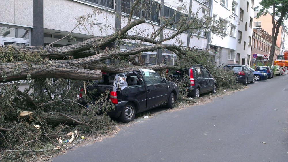 Typische Folge heftiger Unwetter: Umgestürzte Bäume, die parkende Fahrzeuge beschädigen.