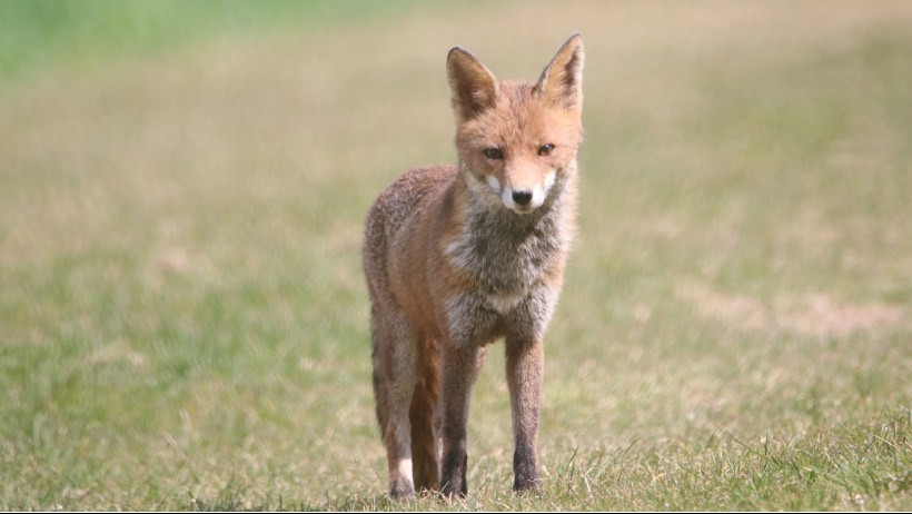 Wefox holt ehemaligen Vorstand der Generali Deutschland Wefox holt ehemaligen Vorstand der Generali Deutschland