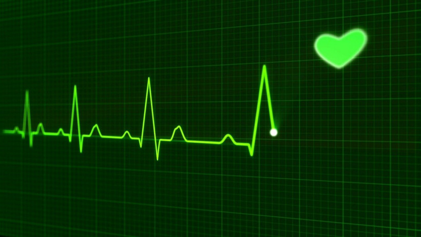 Lebensversicherer im "EKG-Belastungstest": Wer gegen Krisen gerüstet ist Lebensversicherer im "EKG-Belastungstest": Wer gegen Krisen gerüstet ist