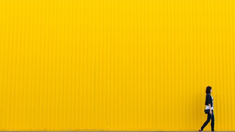 FDP erzielt bei Maklern die absolute Mehrheit FDP erzielt bei Maklern die absolute Mehrheit