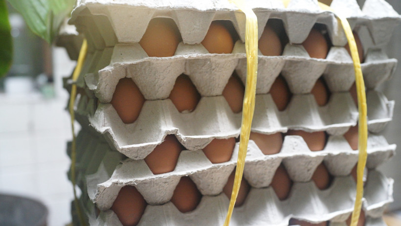 Gewerbliche Schaden- / Unfallversicherung