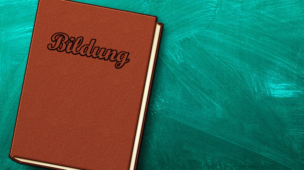 Kann 'grüne Grundbildung' dabei helfen, die Versicherungsbranche nachhaltiger zu machen?
