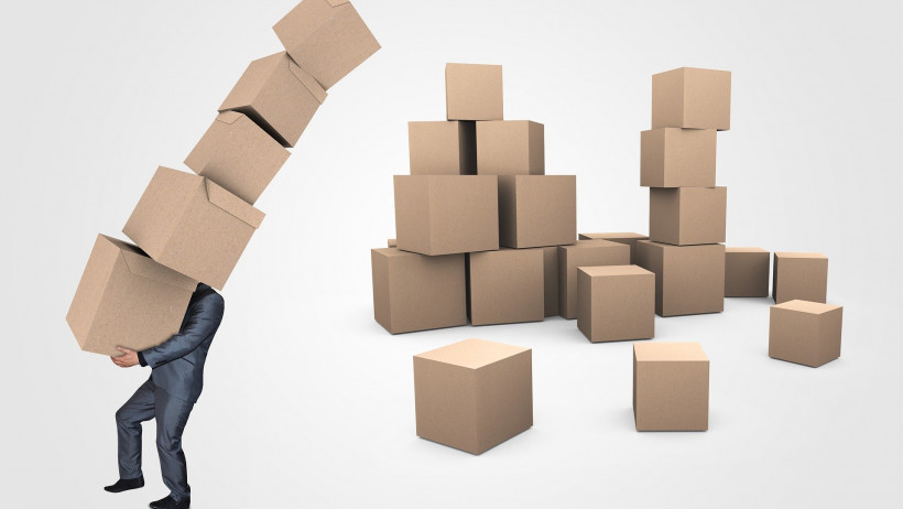 Ökosystem-Zulieferer