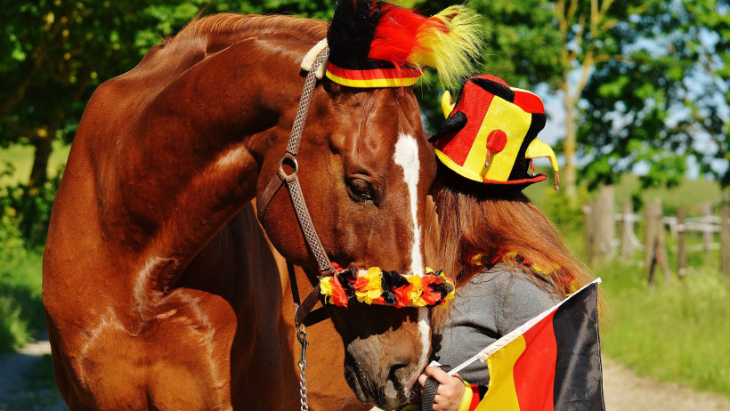 Sechstgrößter Versicherungsmarkt: Deutschland