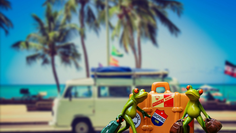 Platz 7: Reisegepäckversicherung