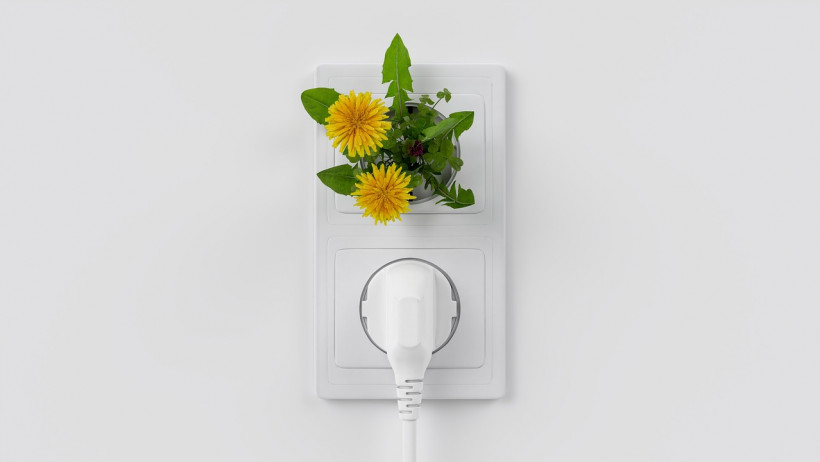 Gräfer-Kolumne: Sicher in die Energiezukunft Gräfer-Kolumne: Sicher in die Energiezukunft