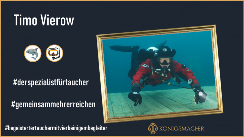 Timo Vierrow (Versicherungsmakler)