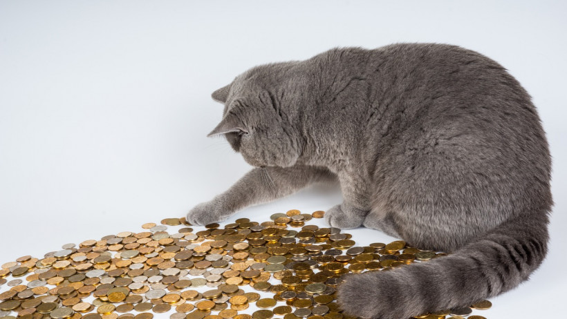 Prüfen einer angemessenen Selbstbeteiligung