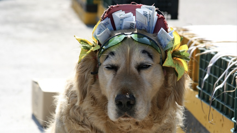 Prüfen: Versichern oder lieber Sparen?