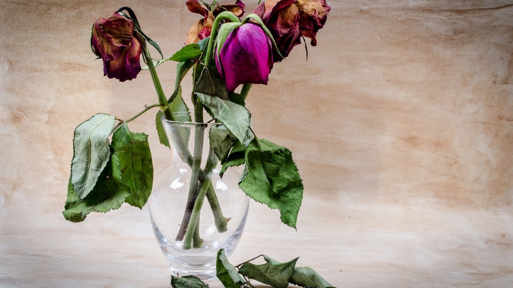 Wenn alte Liebe verwelkt: Viele Versicherungsnehmer trennen sich vorzeitig von ihren Lebensversicherungs-Verträgen (Symbolbild).