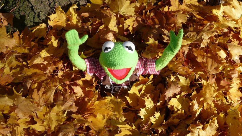 Hinzuverdienstgrenzen für Renten wegen Erwerbsminderung steigen