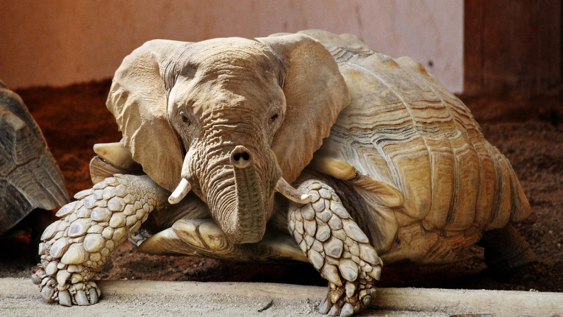 Künstlich erstellte bzw. manipulierte Videos oder Bilder