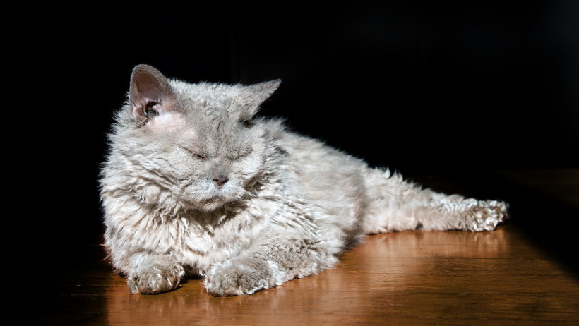 Rang vier: Schäden am Boden mit 6,3 Prozent aller gemeldeten Schäden